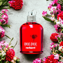 Perfumes Tester Mujer